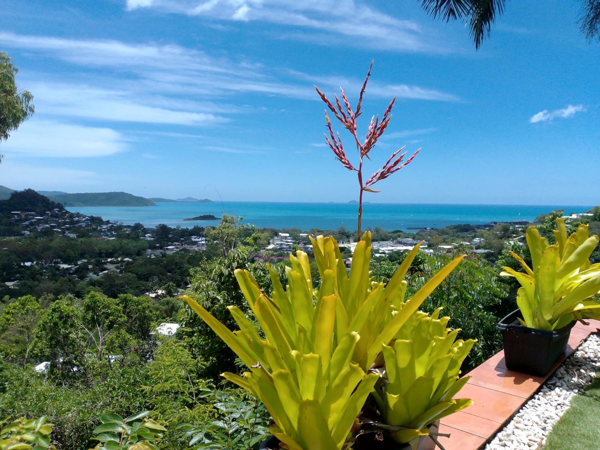 Yachtsmans Paradise, Whitsundays Hotel Airlie Beach Eksteriør billede